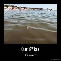 Kur š*ko  - Ten paliko 
