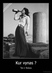 Kur vynas ? - Ten ir Bobos