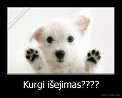 Kurgi išejimas???? - 