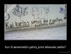 Kuri iš senamiesčio gatvių jums labiausiai patiko? - 
