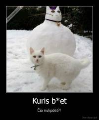 Kuris b*et - Čia nulipdėt?!