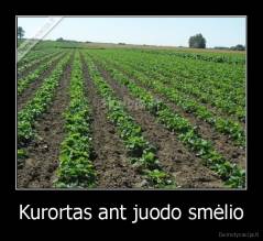 Kurortas ant juodo smėlio - 