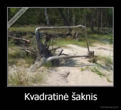 Kvadratinė šaknis - 