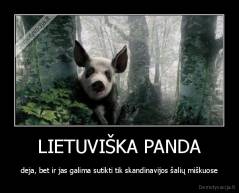 LIETUVIŠKA PANDA - deja, bet ir jas galima sutikti tik skandinavijos šalių miškuose