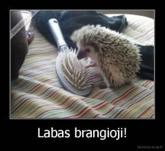 Labas brangioji! - 