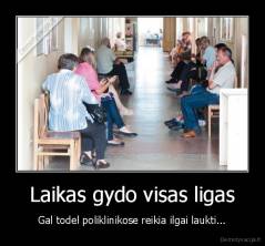Laikas gydo visas ligas - Gal todel poliklinikose reikia ilgai laukti...