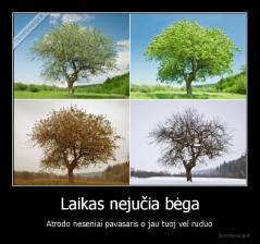 Laikas nejučia bėga - Atrodo neseniai pavasaris o jau tuoj vėl ruduo