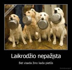 Laikrodžio nepažįsta - Bet visada žino kada pietūs