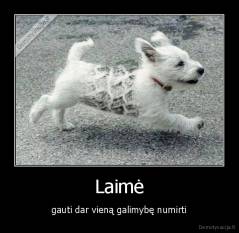 Laimė - gauti dar vieną galimybę numirti