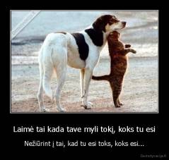 Laimė tai kada tave myli tokį, koks tu esi - Nežiūrint į tai, kad tu esi toks, koks esi...