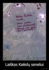 Laiškas Kalėdų seneliui - 
