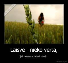 Laisvė - nieko verta, - jei nesame laisvi klysti.