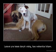 Laisvė yra teisė daryti viską, kas nekenkia kitam. - 