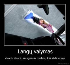 Langų valymas - Visada atrodo smagesnis darbas, kai sėdi viduje