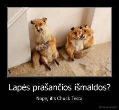Lapės prašančios išmaldos? - Nope, it's Chuck Testa