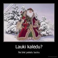 Lauki kalėdu? - Ne blet pelėdu laukiu