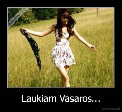Laukiam Vasaros... - 