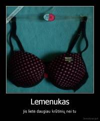 Lemenukas - jis lietė daugiau krūtinių nei tu