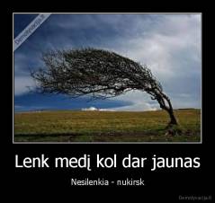 Lenk medį kol dar jaunas - Nesilenkia - nukirsk