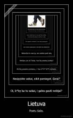Lietuva - Poetu šalis.