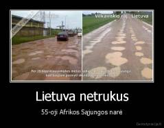 Lietuva netrukus - 55-oji Afrikos Sąjungos narė