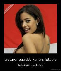 Lietuvai pasiekti kanors futbole - Reikalingas palaikymas