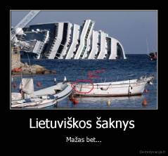 Lietuviškos šaknys  - Mažas bet...