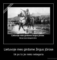 Lietuvoje mes girdome žirgus jūrose - tik po to jie nieko nebegeria