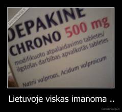 Lietuvoje viskas imanoma .. - 