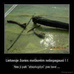 Lietuvoje žuvies meškerėm nebepagausi ! ! - Nes ji pati "atsiplugdys" pas tave ...