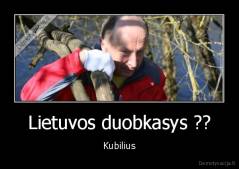 Lietuvos duobkasys ?? - Kubilius