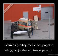 Lietuvos greitoji medicinos pagalba  - Vėluoja, nes jie užsiema ir kroviniu pervežimu