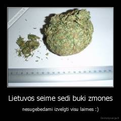 Lietuvos seime sedi buki zmones - nesugebedami izvelgti visu laimes :)