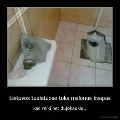 Lietuvos tualetuose toks malonus kvapas - kad reiki net dujokaukiu..