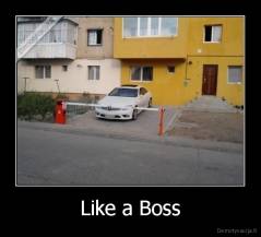 Like a Boss - 