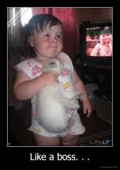 Like a boss. . . - 