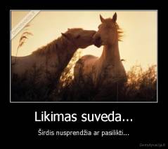 Likimas suveda... - Širdis nusprendžia ar pasilikti...