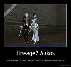 Lineage2 Aukos - Daug kas noretu gyventi Lineage2 pasaulyje , ten jiems sektusi geriau