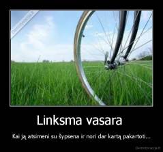 Linksma vasara  - Kai ją atsimeni su šypsena ir nori dar kartą pakartoti...