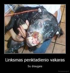 Linksmas penktadienio vakaras - Su draugais