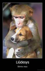 Liūdesys - Ištinka visus