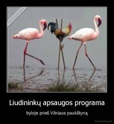 Liudininkų apsaugos programa - byloje prieš Vilniaus paukštyną