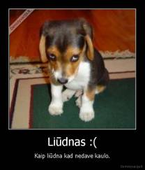 Liūdnas :( - Kaip liūdna kad nedave kaulo.