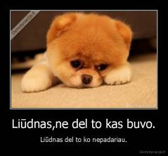 Liūdnas,ne del to kas buvo. - Liūdnas del to ko nepadariau.