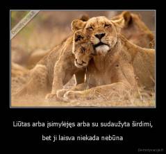 Liūtas arba įsimylėjęs arba su sudaužyta širdimi, -  bet ji laisva niekada nebūna 