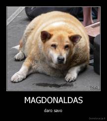 MAGDONALDAS -  daro savo 