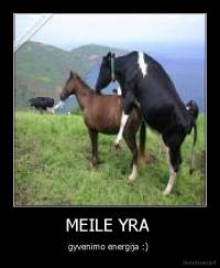 MEILE YRA  - gyvenimo energija :) 