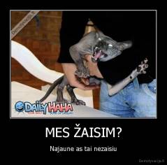 MES ŽAISIM? - Najaune as tai nezaisiu