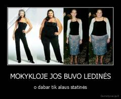 MOKYKLOJE JOS BUVO LEDINĖS - o dabar tik alaus statinės