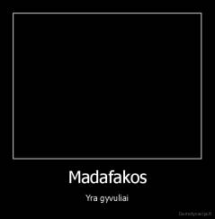 Madafakos - Yra gyvuliai